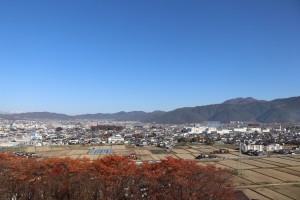 IMG_7929