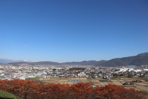IMG_7931