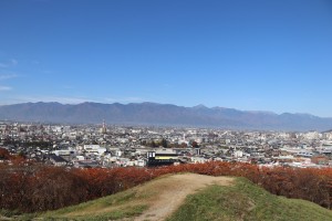 IMG_7933