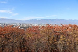 IMG_7963