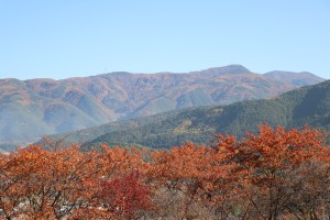 IMG_7964