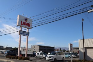 IMG_7993