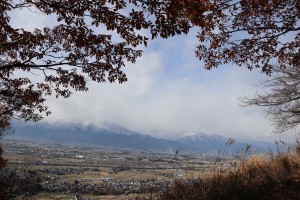 IMG_8681