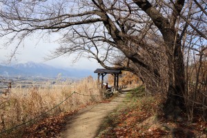 IMG_8682