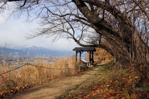 IMG_8685