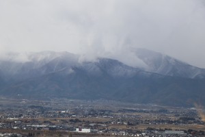 IMG_8694