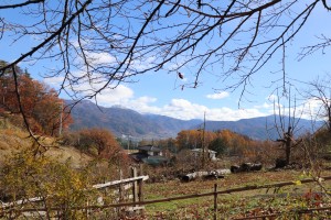 IMG_8703