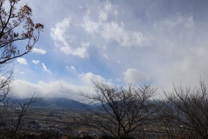 IMG_8730