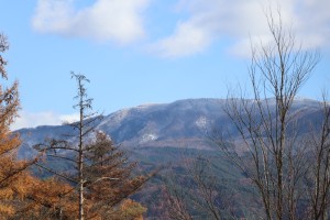 IMG_8733