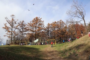 IMG_8795