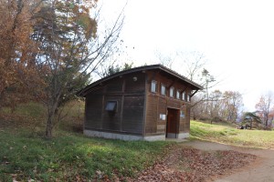 IMG_8810