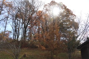 IMG_8811