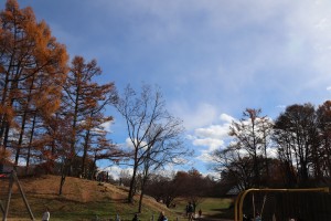 IMG_8840