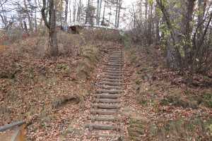 IMG_8957