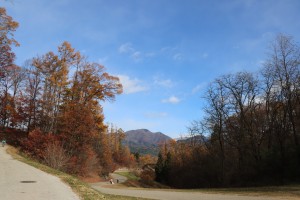 IMG_9004