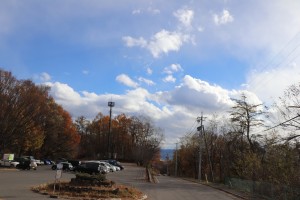 IMG_9231