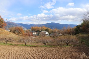 IMG_9243