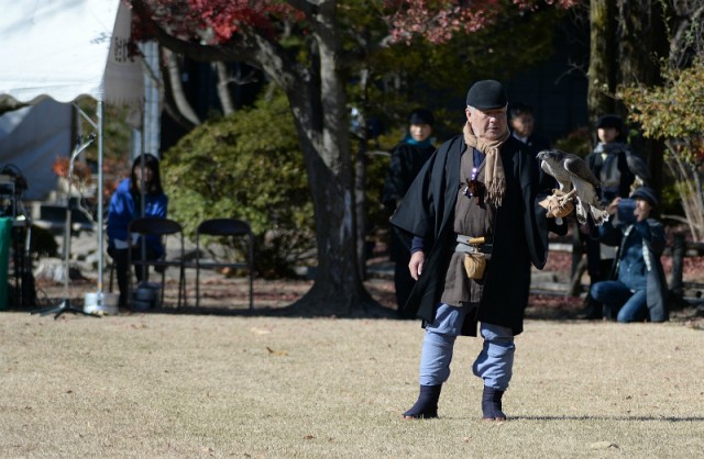 falconry