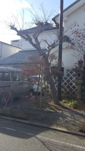 20171206_134511