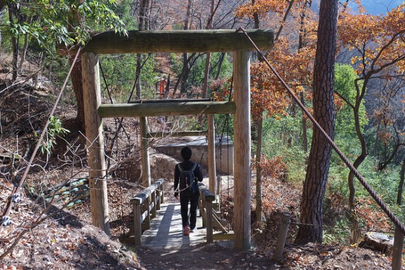 A small, but fun suspended bridge constructed out of wood.
