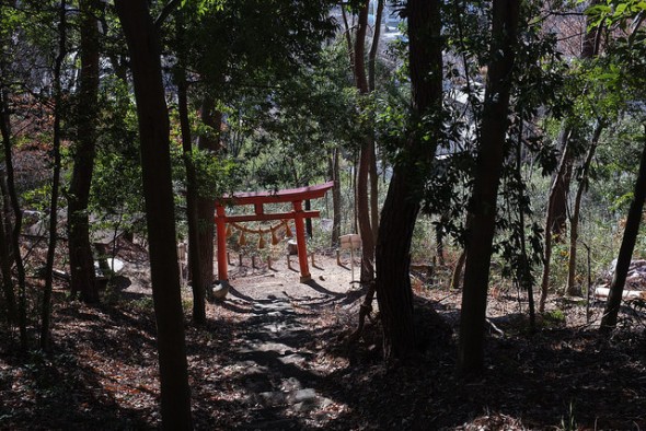 Torii gate in the woods below Tenmangu Shrine