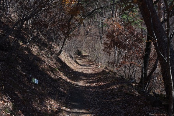 Trail near the look out point