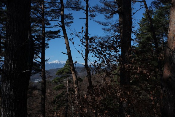 The Japan Alps peaking through the trees.