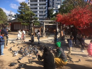 境内