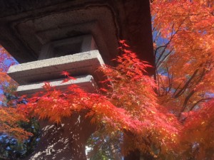 紅葉 灯篭