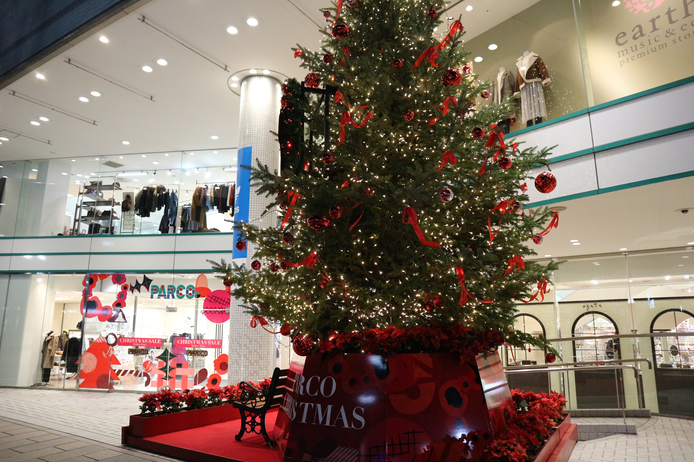 クリスマスツリー