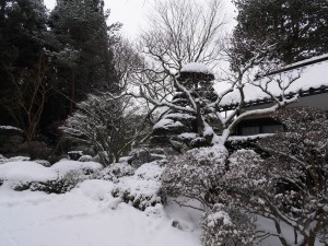 P1190374