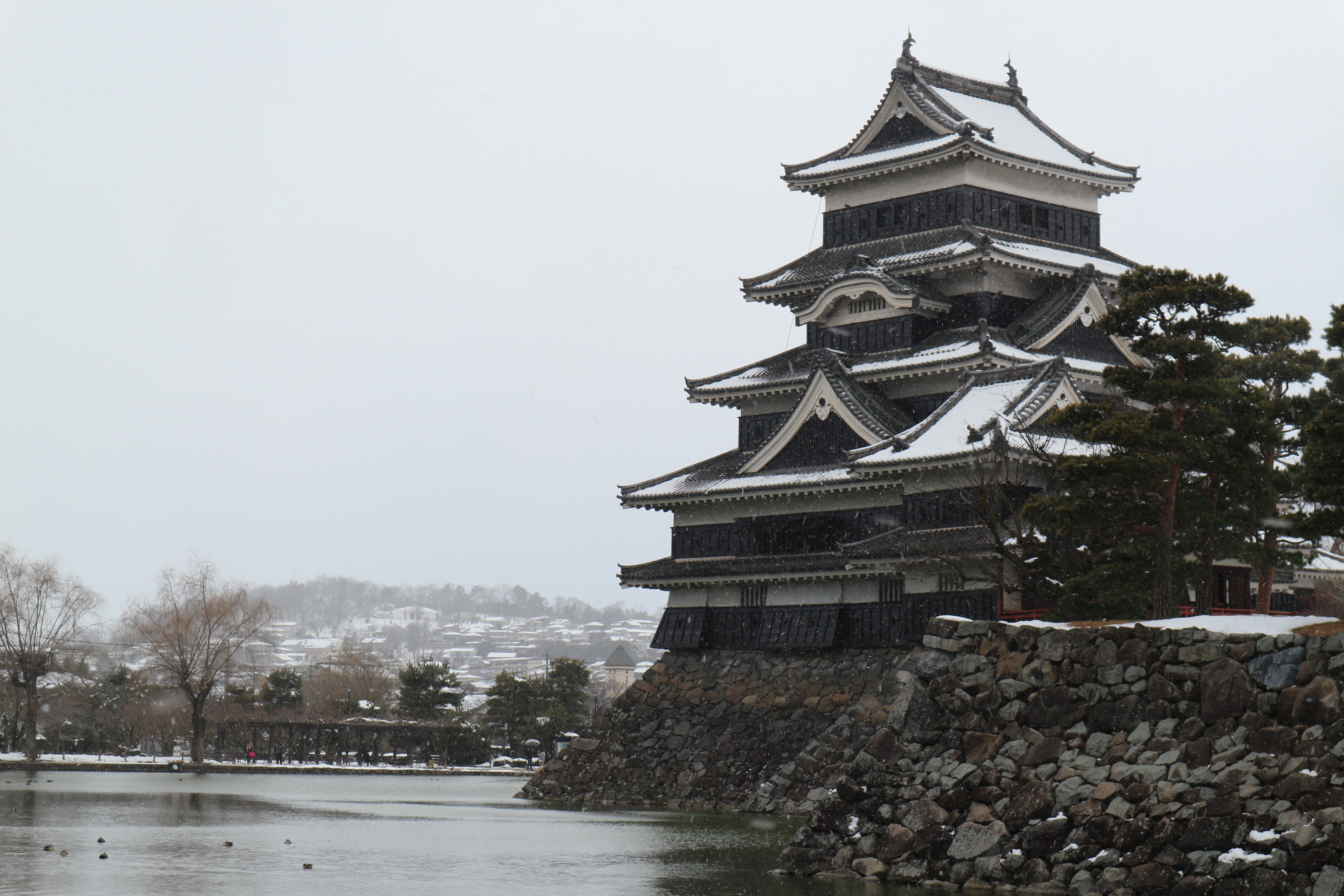 2018年1月23日