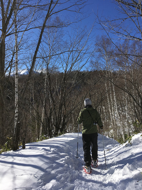 Snowshoeing along...
