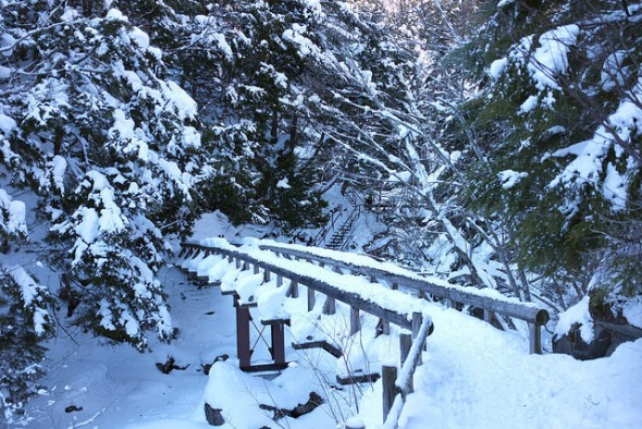 The snow-covered bridge just before reaching the waterfall