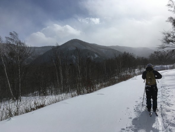 Winter wonderland