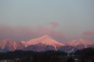 紫に染まる山