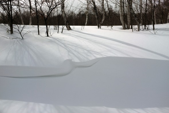 So much snow!