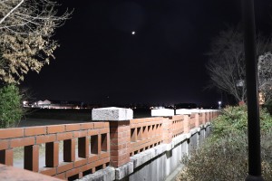 IMG_0404