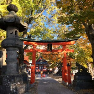 IMG_0620-300x300