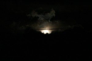 IMG_2022
