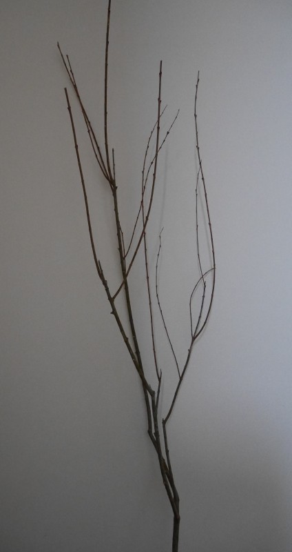 P1040956