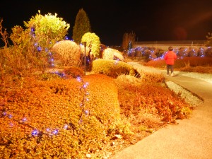 P1690170
