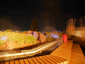 P1690226