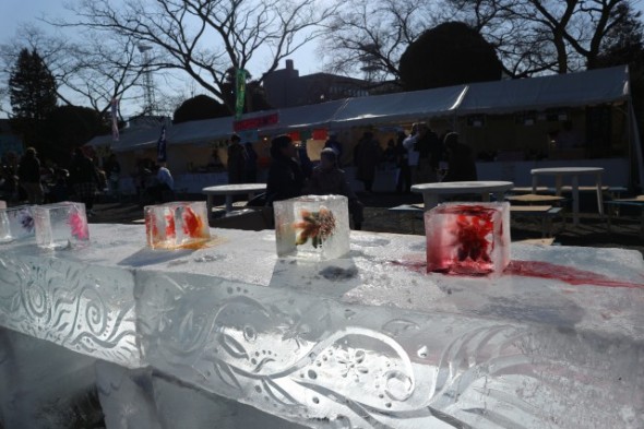 icefestival7