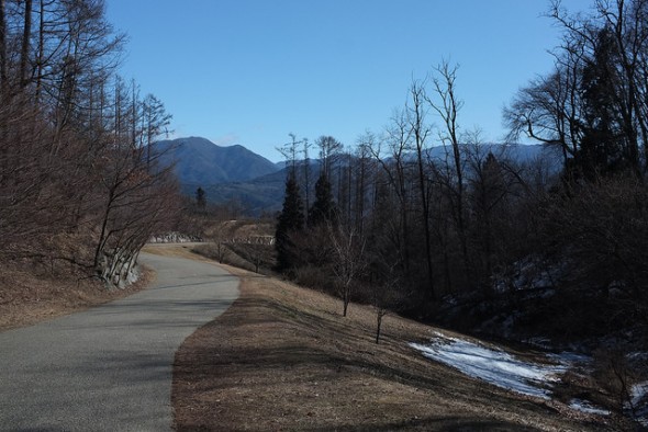 Park scenery