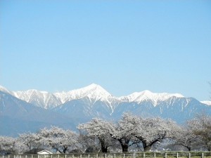 DSCN2682
