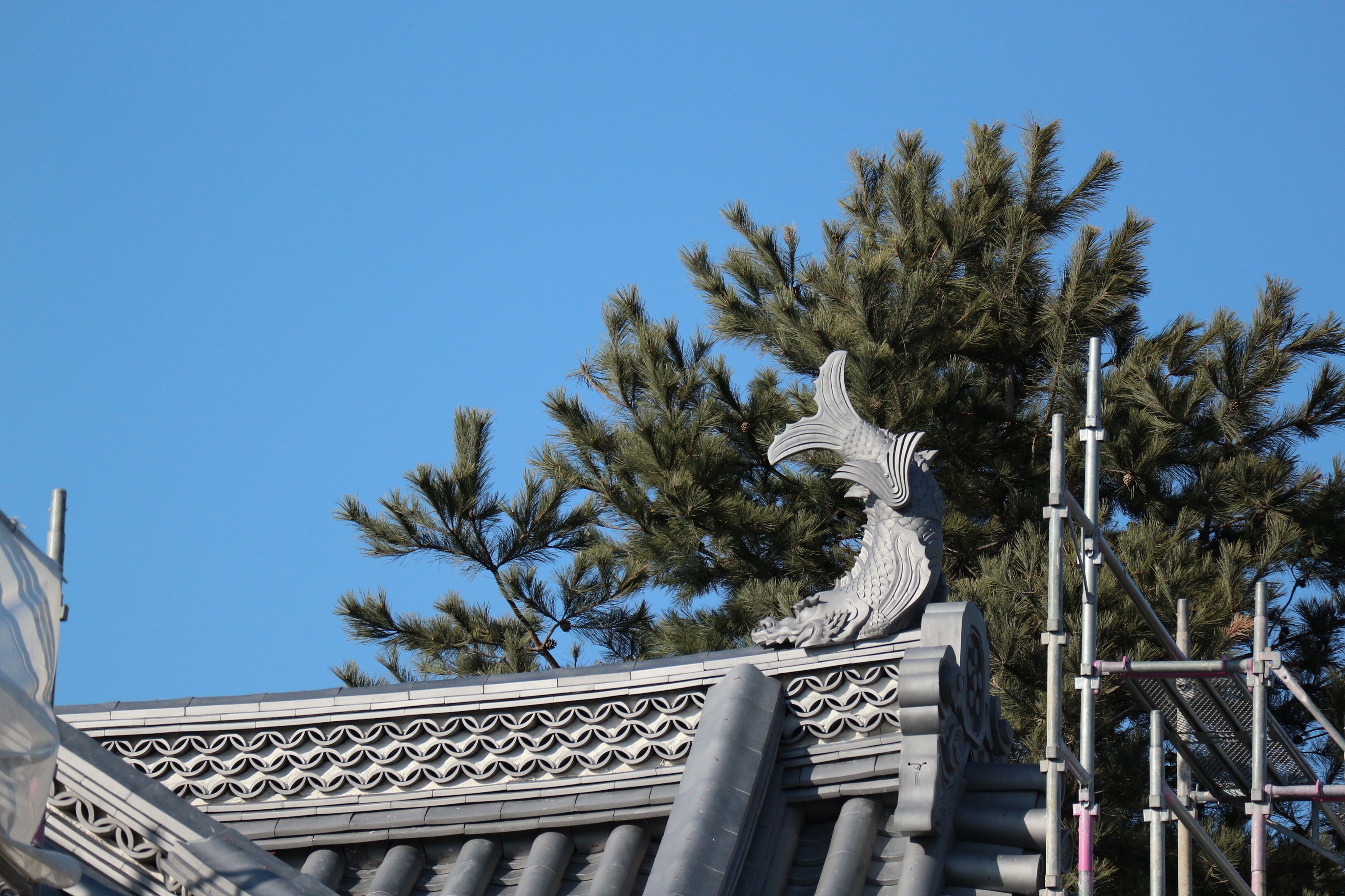 国宝松本城　新しい「鯱瓦　しゃちかわら」と古い「鯱瓦」