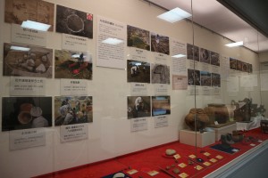 展示１