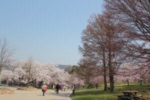 IMG_1370