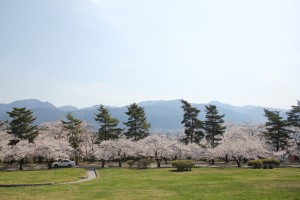 IMG_7205